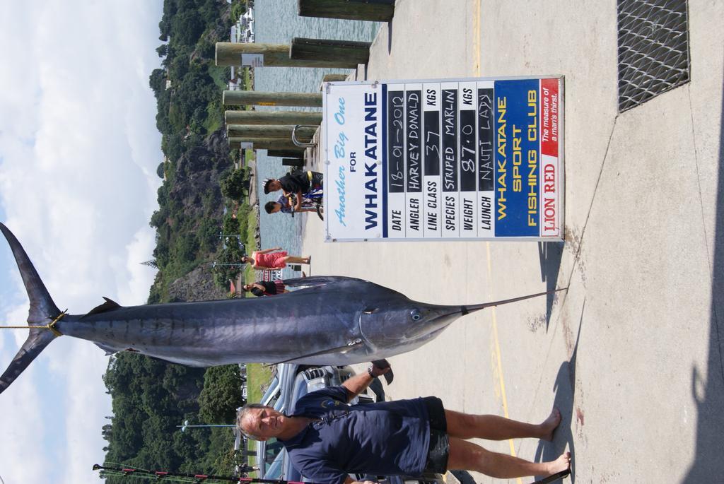 Tourist Court Whakatane